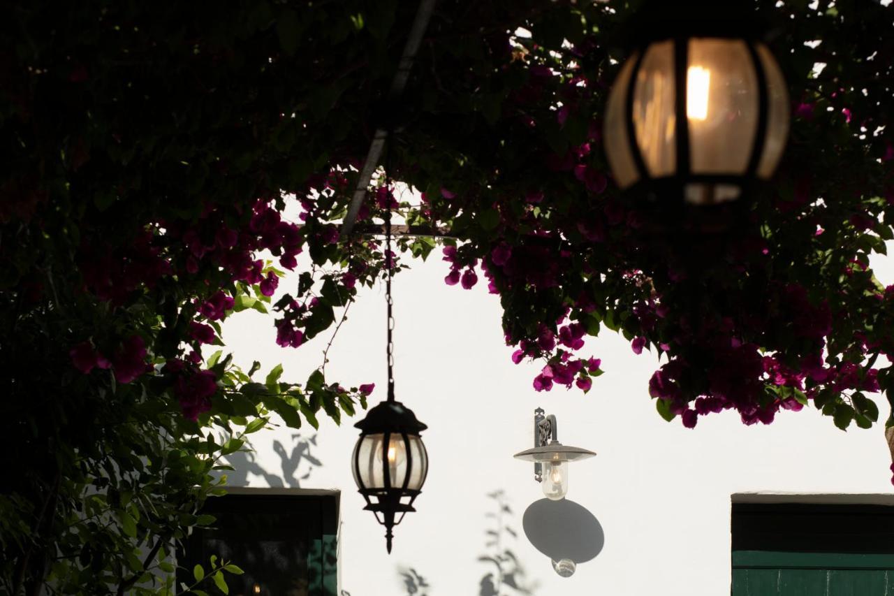 Don Alfonso Dimora D'Epoca Bed & Breakfast Racale Bagian luar foto